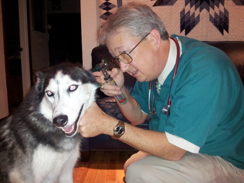 Our Premise Bay Area Veterinary Housecalls